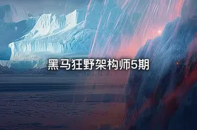 黑马狂野架构师5期