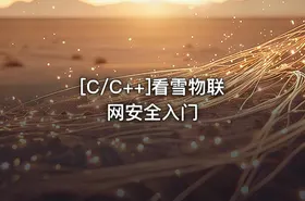 [C/C++]看雪物联网安全入门 - getfromcode