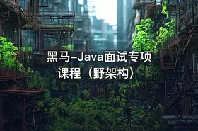 黑马-Java面试专项课程（野架构）
