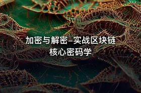 加密与解密-实战区块链核心密码学