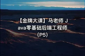 【金牌大课】马老师 Java零基础后端工程师（P5）
