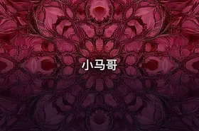 小马哥