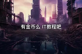 有金币么 IT教程吧