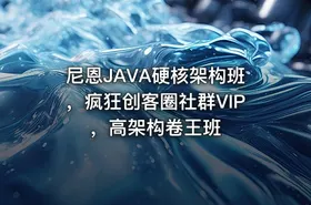 尼恩JAVA硬核架构班，疯狂创客圈社群VIP，高架构卷王班 - getfromcode