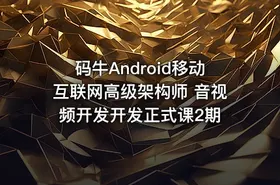 码牛Android移动互联网高级架构师 音视频开发开发正式课2期