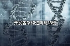 开发者架构进阶班18班