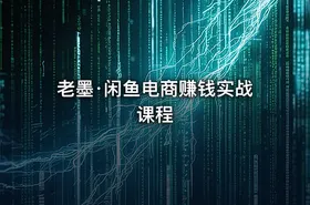 老墨·闲鱼电商赚钱实战课程 - getfromcode
