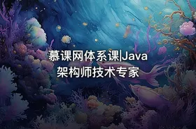 慕课网体系课|Java架构师技术专家 - getfromcode