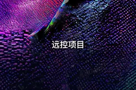 远控项目