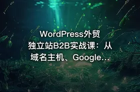 WordPress外贸独立站B2B实战课：从域名主机、Google SEO与询盘获客完整系统教学