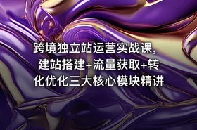 跨境独立站运营实战课，建站搭建+流量获取+转化优化三大核心模块精讲