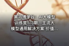 黑马博学谷：AI大模型训练营1-3期，主流大模型通用解决方案 价值6999元(更新第3期)