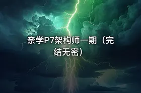 奈学P7架构师一期（完结无密）