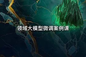 领域大模型微调案例课 - getfromcode