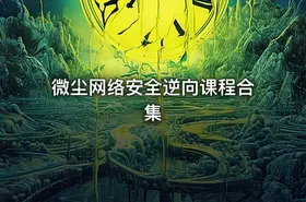 微尘网络安全逆向课程合集 - getfromcode