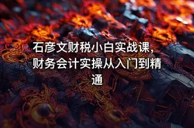 石彦文财税小白实战课，财务会计实操从入门到精通