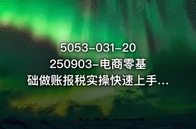 5053-031-20250903-电商零基础做账报税实操快速上手从0-1学会套账建立做账准备企业税务申报
