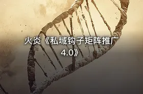 火炎《私域钩子矩阵推广4.0》