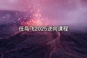 任鸟飞2025逆向课程 - getfromcode