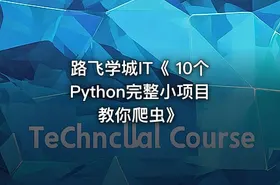 路飞学城IT《 10个Python完整小项目教你爬虫》