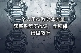 一个人用Ai做实体流量获客系统实战课，全程保姆级教学 - getfromcode