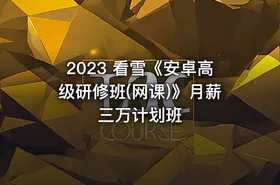 2023 看雪《安卓高级研修班(网课)》月薪三万计划班