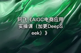 阿飞《AIGC电商应用实操课（加更DeepSeek）》 - getfromcode