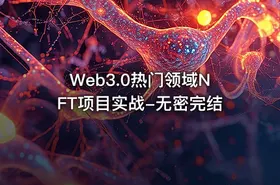 Web3.0热门领域NFT项目实战-无密完结