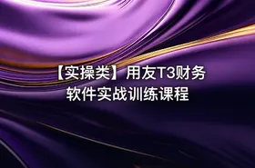【实操类】用友T3财务软件实战训练课程