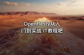 OpenResty从入门到实战 IT教程吧