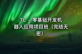 TL - 零基础开发机器人应用项目班（完结无密） - getfromcode