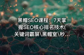 黑帽SEO课程：7天掌握SEO核心排名技术(关键词霸屏\黑帽室\秒排策略\整站优化) 实战课