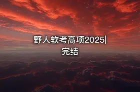 野人软考高项2025|完结
