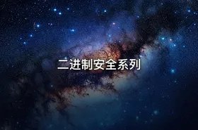 二进制安全系列