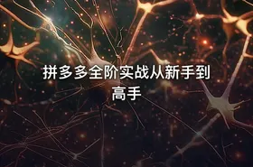 拼多多全阶实战从新手到高手