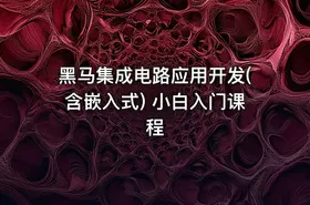 黑马集成电路应用开发(含嵌入式) 小白入门课程