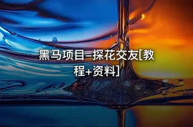黑马项目-探花交友[教程+资料]