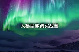 大模型微调实战营
