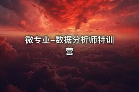 微专业-数据分析师特训营