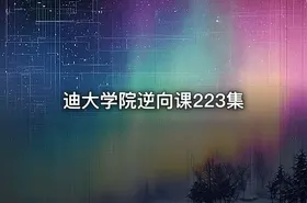 迪大学院逆向课223集