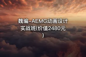 魏编-AEMG动画设计实战班(价值2480元) - getfromcode