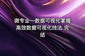 微专业—数据可视化掌握高效数据可视化技法 完结