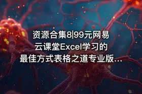 资源合集8|99元网易云课堂Excel学习的最佳方式表格之道专业版附教程练习课件