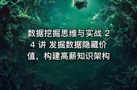 数据挖掘思维与实战 24 讲 发掘数据隐藏价值，构建高薪知识架构 - getfromcode