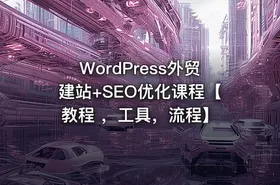 WordPress外贸建站+SEO优化课程【教程 ，工具，流程】