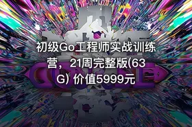初级Go工程师实战训练营，21周完整版(63G) 价值5999元