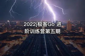 2022j极客Go 进阶训练营第五期