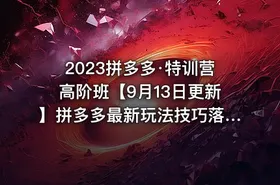2023拼多多·特训营高阶班【9月13日更新】拼多多最新玩法技巧落地实操-83节