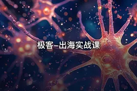 极客-出海实战课