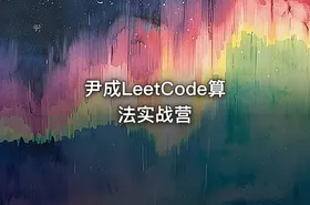 尹成LeetCode算法实战营